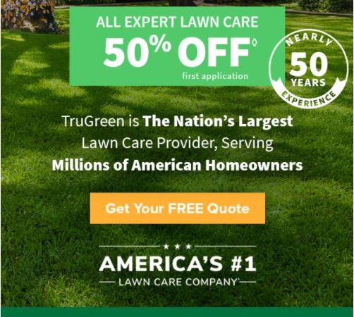 Make Your Neighbors Jealous Of Your Lawn